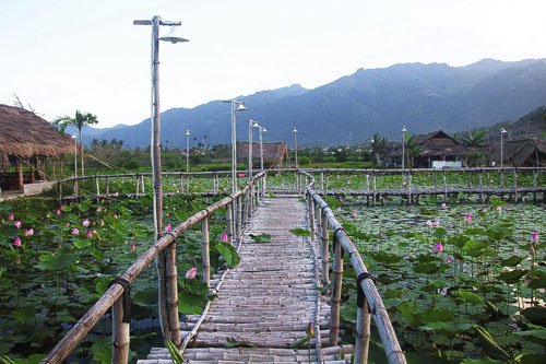 Khu đầm có lối đi bằng tre để khách tham quan. Khu đầm có lối đi bằng tre để khách tham quan.
